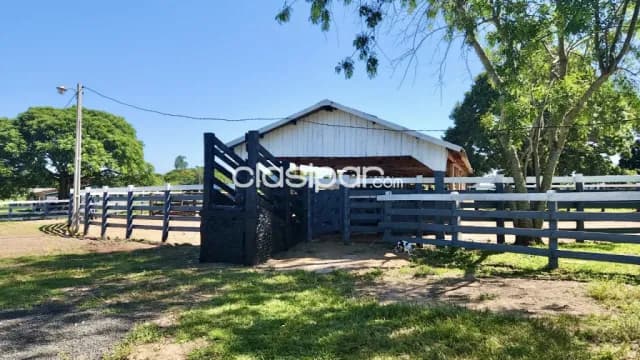 Campo Agrícola/Ganadero Mecanizado en YVYRAROVANÁ - 252 Ha — foto 3