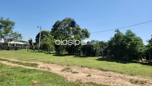 Campo Agrícola/Ganadero Mecanizado en YVYRAROVANÁ - 252 Ha — foto 4