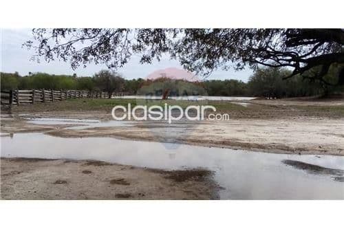 Excelente campo en bahia negra!!, foto 1