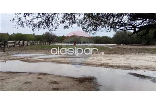 Excelente campo en bahia negra!!, foto 2