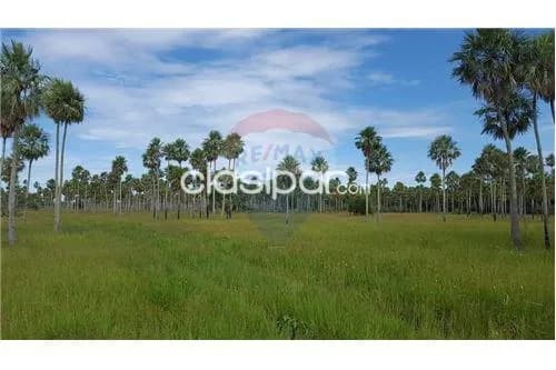 Excelente campo en bahia negra!!, foto 5