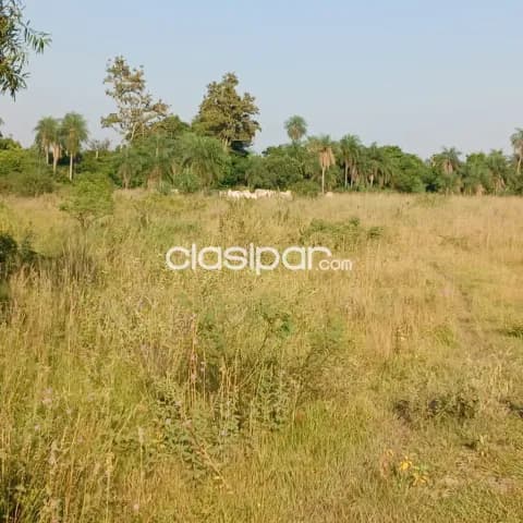 Amplio terreno de 47 hectarias en Tobati a 64 km de Asuncion, foto 4