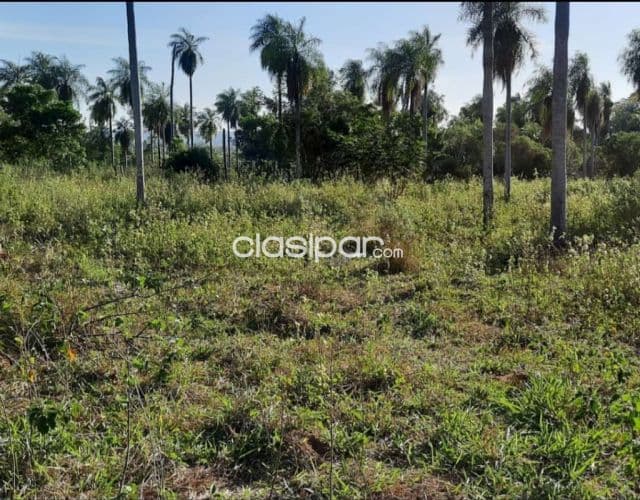 Hermosa propiedad de 6.5 ha.entre Atyrá y Caacupé