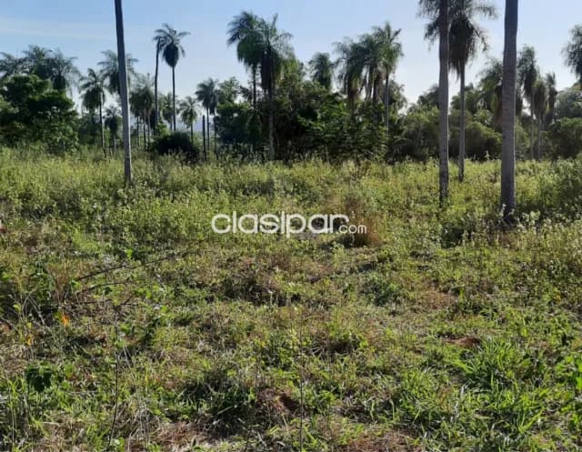Hermosa propiedad de 6.5 ha.entre Atyrá y Caacupé — foto 5