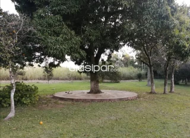 San jose de los arroyo, caaguazu: 7.5 has, prox. Rutas, pasturas, tajamar, vivienda, foto 5
