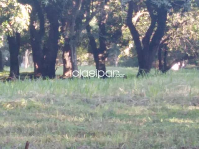 Luque, vendo terreno de 17.900 m2. Frente sobre calle América 71 ms, foto 2
