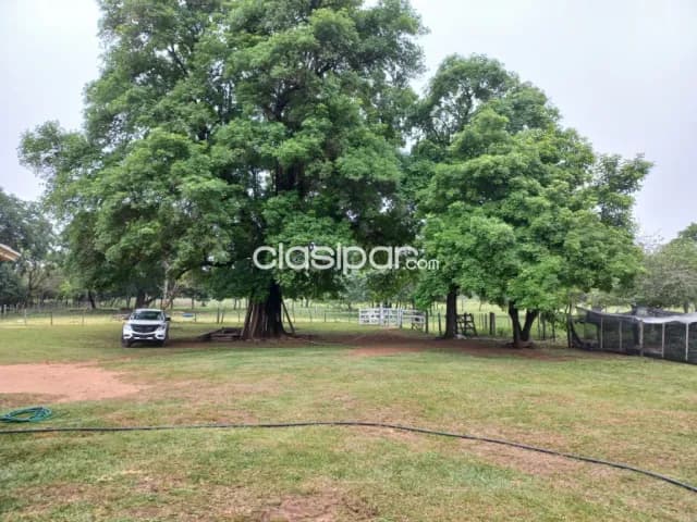 Granja completa en Nueva Colombia - 74 Ha — foto 3