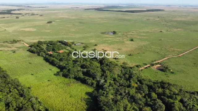 Campo Agrícola/Ganadero en San Miguel sobre Ruta - 283 Ha — foto 2
