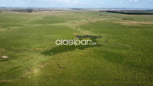 Campo Agrícola/Ganadero en San Miguel sobre Ruta - 283 Ha — foto 3
