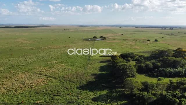 Campo Agrícola/Ganadero en San Miguel sobre Ruta - 283 Ha — foto 4