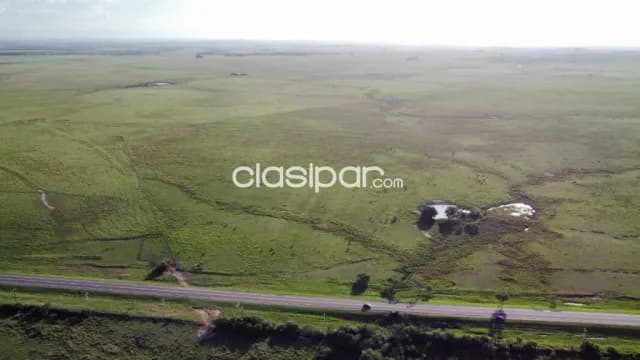 Campo Agrícola/Ganadero en San Miguel sobre Ruta - 283 Ha — foto 5