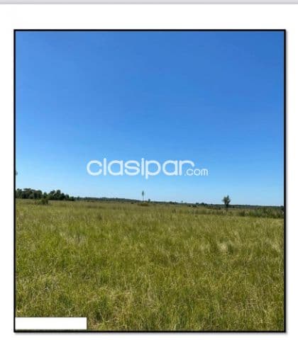 estancia formada de 463 has en Loreto Concepción