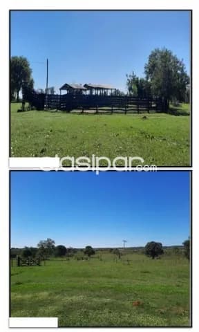 estancia formada de 463 has en Loreto Concepción, foto 3