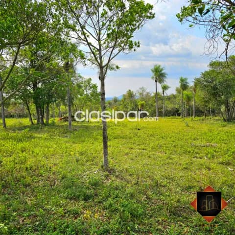 Terreno en carapegua, foto 5