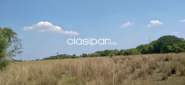 Campo Agrícola/Ganadero en Villalbin - 118 Ha, foto 2
