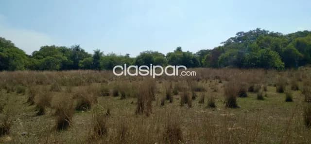 Campo Agrícola/Ganadero en Villalbin - 118 Ha, foto 3