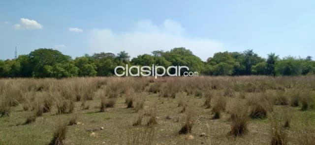 Campo Agrícola/Ganadero en Villalbin - 118 Ha, foto 4