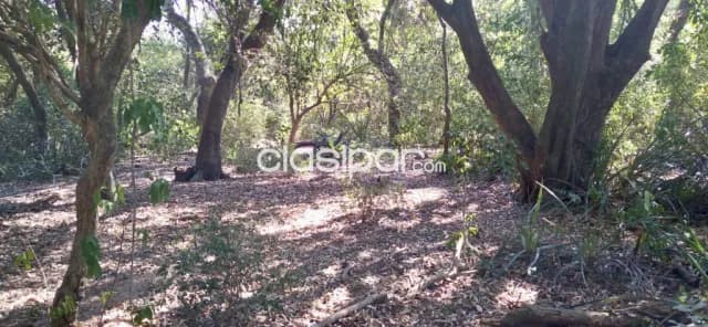 Campo Agrícola/Ganadero en Villalbin - 118 Ha, foto 5