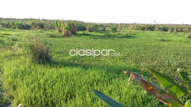 Campo de 579 has. En pozo colorado (dpto. Presidente hayes)