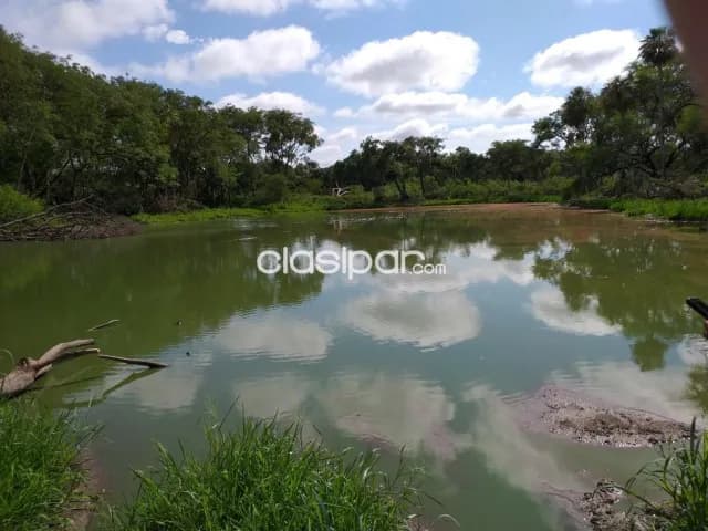 Campo de 579 has. En pozo colorado (dpto. Presidente hayes) — foto 3
