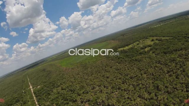 Campo de 579 has. En pozo colorado (dpto. Presidente hayes) — foto 4