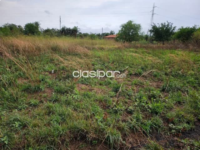 Terreno titulado en ypacarai, foto 3