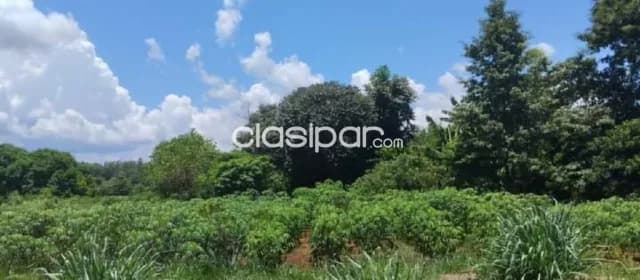 un terreno en CDE -km 12 Acaray cancelado de Inmobiliaria del Este — foto 3