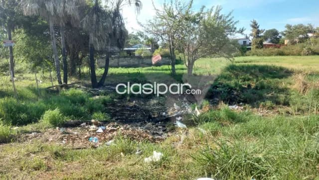 Terreno de 391 m2 en isla aveiro limpio z/fortis cod:v0286, foto 5
