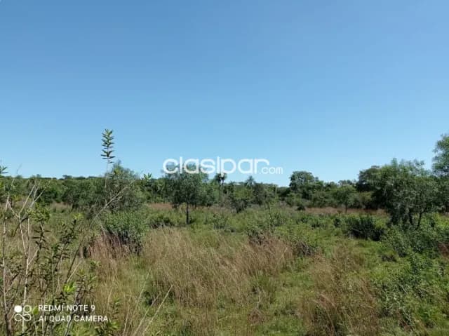 Propiedad de 9 hectareas en nueva colombia, foto 2