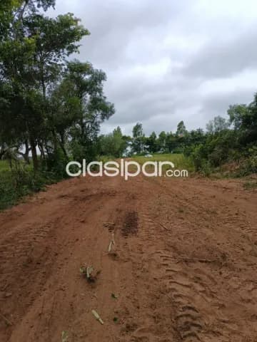 Propiedad de 9 hectareas en nueva colombia, foto 5