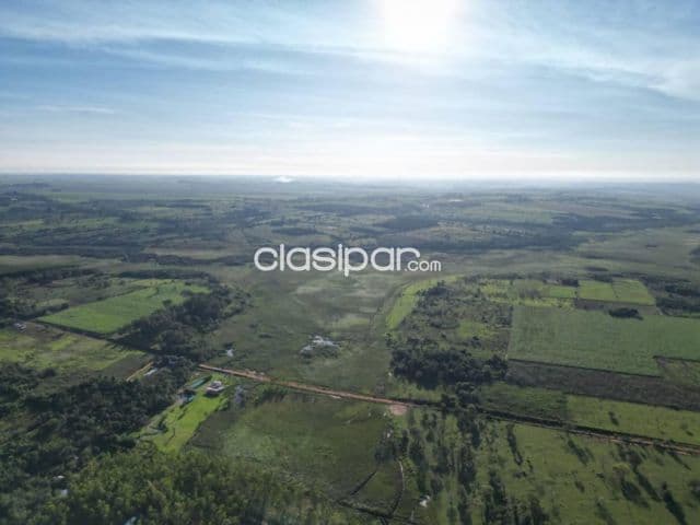 En venta 145 hectáreas en CAAGUAZÚ — foto 1