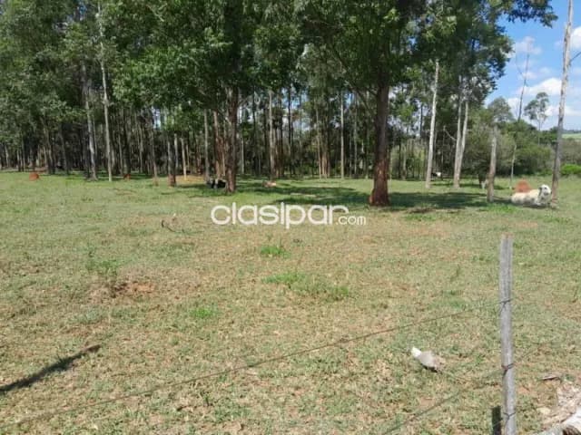 En venta 145 hectáreas en CAAGUAZÚ — foto 4