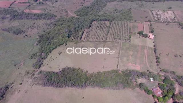 Campo Ganadero en San Juan Bautista - 195 Ha — foto 2