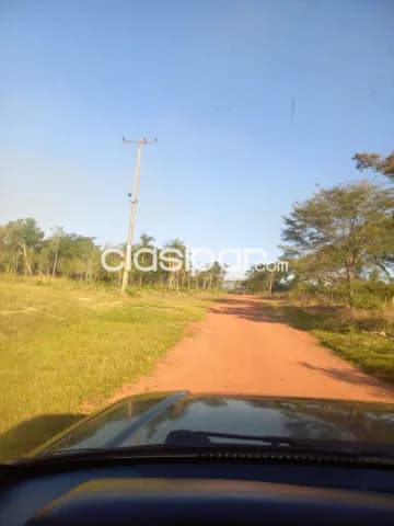Oferta de 100 ha.en Nueva Colombia — foto 2
