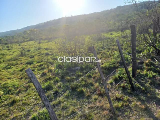 Oferta de 100 ha.en Nueva Colombia — foto 3