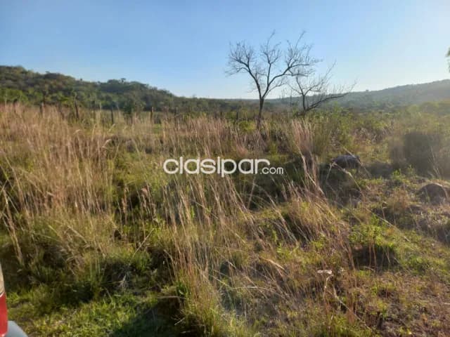 Oferta de 100 ha.en Nueva Colombia — foto 4