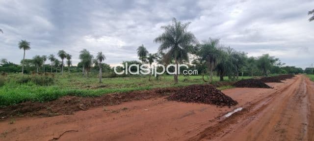 Oferta de 4 lotes juntos en ITAUGUA