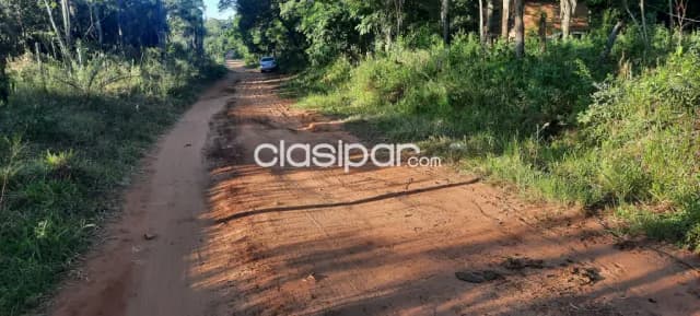 Terreno de 8000 mt.cuadrado para casa quinta en Nueva Colombia, foto 3