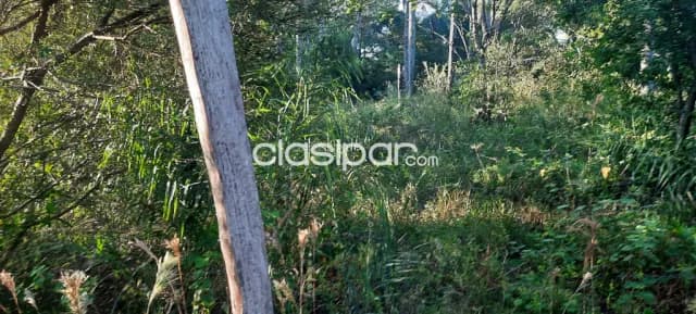 Terreno de 8000 mt.cuadrado para casa quinta en Nueva Colombia, foto 4