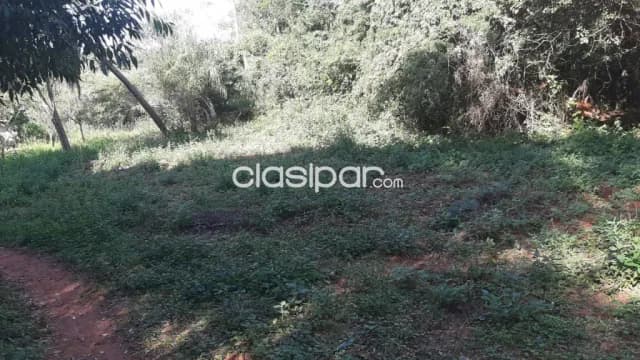Propiedad 7 Has. en San Lorenzo oportunidad para inversionista todo emprendimieto — foto 2