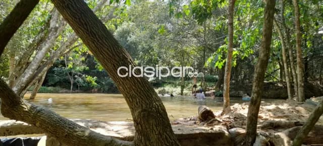 🌳🌊terreno con arroyo en venta — foto 4