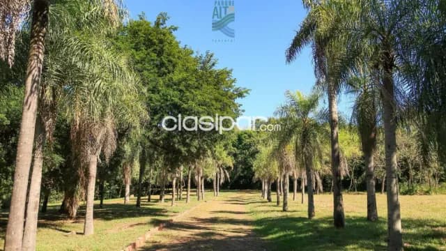 Terreno Condominio 'Parque Alto' - Ypacaraí, foto 5
