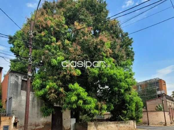 Terreno en Las Mercedes, foto 4