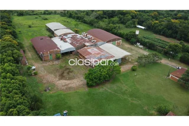 Nuevo precio!!campo de 10 ha sobre ruta 02 con depósitos en cnel oviedo — foto 3