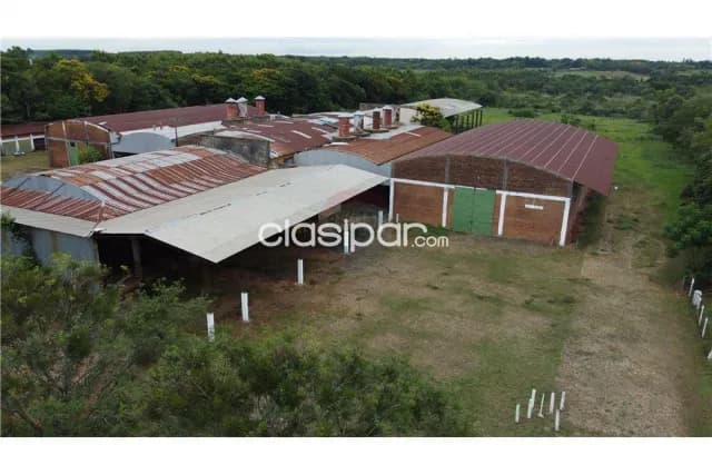 Nuevo precio!campo de 10 ha sobre ruta 02 con depósitos en cnel oviedo, foto 3