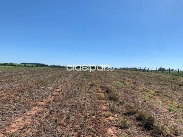 Terreno Agrícola Mecanizado en Domingo M. de Irala costa al Río Paraná - 17 Ha