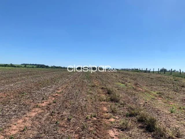 Terreno Agrícola Mecanizado en Domingo M. de Irala costa al Río Paraná - 17 Ha, foto 2