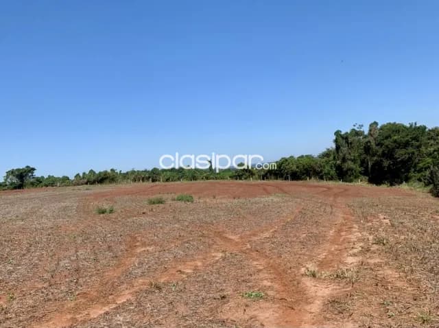 Terreno Agrícola Mecanizado en Domingo M. de Irala costa al Río Paraná - 17 Ha, foto 3