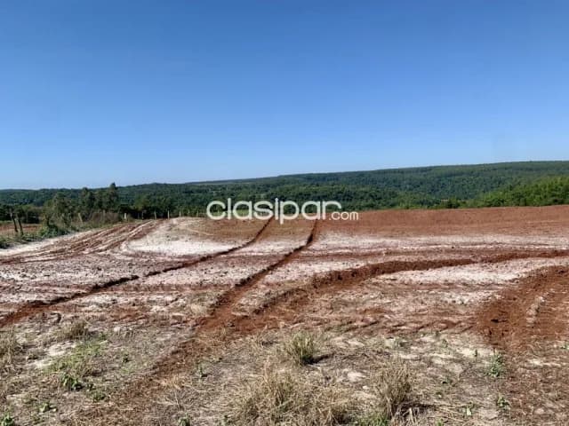 Terreno Agrícola Mecanizado en Domingo M. de Irala costa al Río Paraná - 17 Ha, foto 4