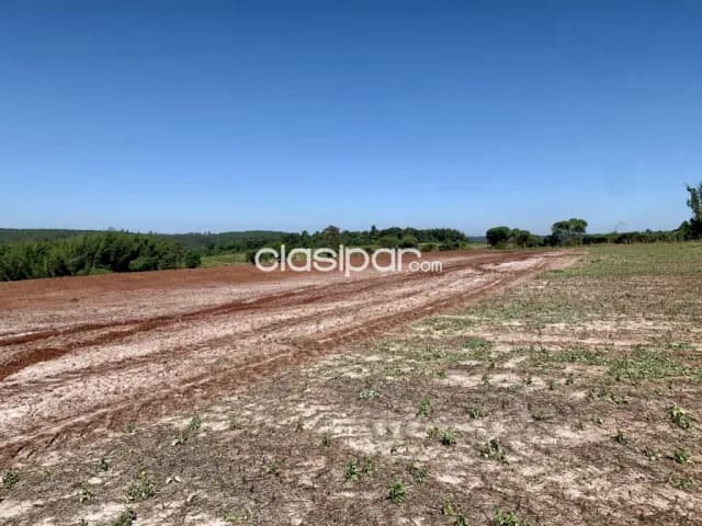 Terreno Agrícola Mecanizado en Domingo M. de Irala costa al Río Paraná - 17 Ha, foto 5